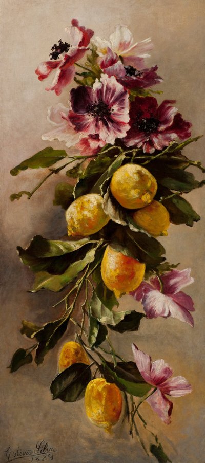 Still Life by Estevão Silva